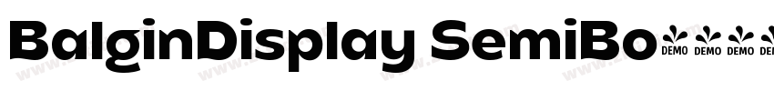 BalginDisplay SemiBo字体转换